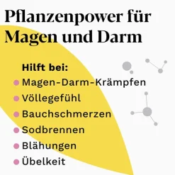 Classic – Schnelle Linderung bei akuten Magen-Darm-Beschwerden - Jetzt 20% mit dem Code 20 sparen*|Iberogast