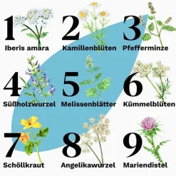 Classic – Schnelle Linderung bei akuten Magen-Darm-Beschwerden - Jetzt 20% mit dem Code 20 sparen*|Iberogast