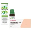 Iberogast® Classic Schnelle Linderung bei akuten Magen-Darm-Beschwerden + Pantoprazol Eris|Redcare Outlet