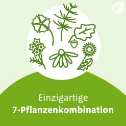 ® N Tropfen – können bei beginnender Erkältung die Erkältungsabwehr stärken, Erkältungserreger bekämpfen und den Erkältungsverlauf mildern, mit 7-Pflanzenkombination|Imupret Hot