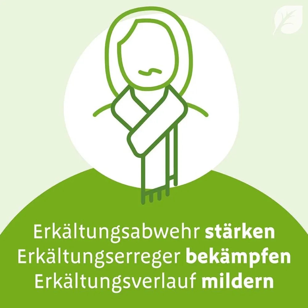 ® N Tropfen – können bei beginnender Erkältung die Erkältungsabwehr stärken, Erkältungserreger bekämpfen und den Erkältungsverlauf mildern, mit 7-Pflanzenkombination|Imupret Hot