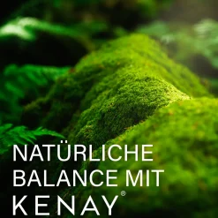 JOD Ökologische Algen-Ascophyllum nodosum - Kelp PureSea®  | KENAY®><noscript><img width=