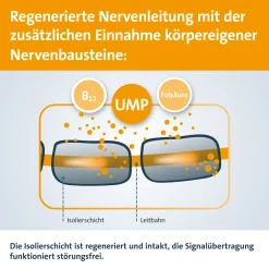 Keltican® forte Kapseln mit Uridinmonophosphat (UMP), Vitamin B12 und Folsäure zur Unterstützung der Nervenregeneration - Jetzt 10% mit dem Code dermapharm10 sparen*|Keltican forte