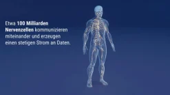 Keltican® forte Kapseln mit Uridinmonophosphat (UMP), Vitamin B12 und Folsäure zur Unterstützung der Nervenregeneration - Jetzt 10% mit dem Code dermapharm10 sparen*|Keltican forte