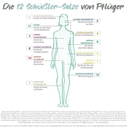 Kennenlern-Set / Haus- und Reiseapotheke Nr. 1 - 12| New