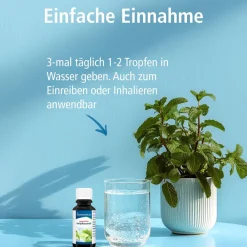 Japanisches Heilpflanzenöl 20ml|Klosterfrau Outlet