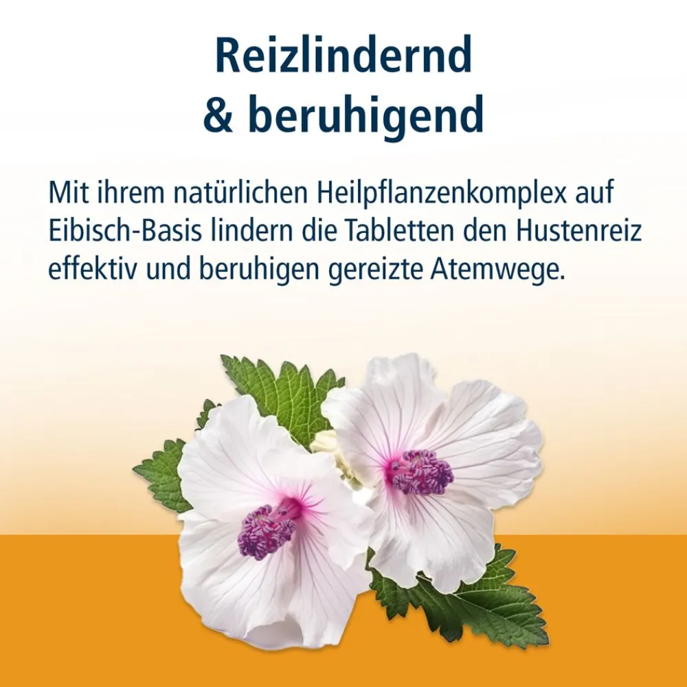 Reizhusten zuckerfrei>Klosterfrau Outlet
