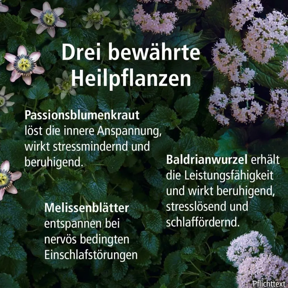 Seda-Plantina Innere Ruhe>Klosterfrau Discount