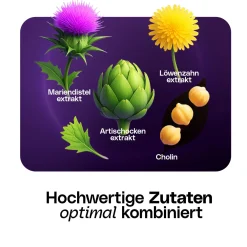 kraftreich® LEBER KOMPLEX mit Mariendistel, Artischocke, Löwenzahn & Cholin - 240 Kapseln| Hot