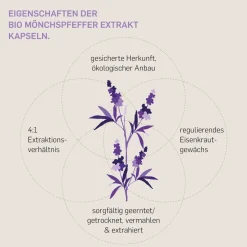 © Bio Mönchspfeffer – 10 mg Vitex-agnus-castus-Extrakt – 240 Kapseln – 8 Monate><noscript><img width=