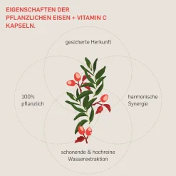 © Eisen + Vitamin C – Curryblatt & Hagebutte – 14 mg Eisen – 180 Kapseln – vegan><noscript><img width=