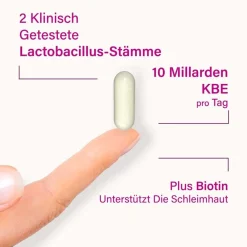 Lacto Intim 60 – Probiotische Kapseln mit Milchsäurebakterien| Online