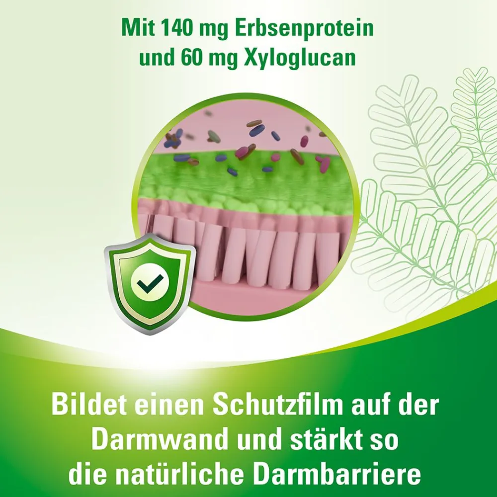 an® protect bei wiederkehrenden, funktionellen Blähungen und Blähbauch>Lefax New