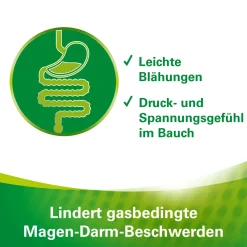 Kautabletten – lindern gasbedingte Beschwerden wie leichte Blähungen sowie Druck- und Spannungsgefühl im Bauch><noscript><img width=
