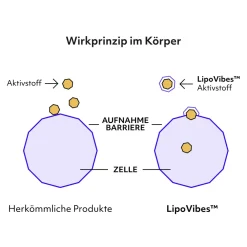 LipoVibes Vitamin D3 K2 - „Sonnenvitamin“ mit wichtiger Funktion|LIPO VIBES New