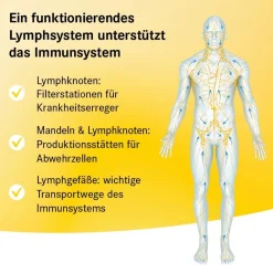 ® Basistropfen SL><noscript><img width=