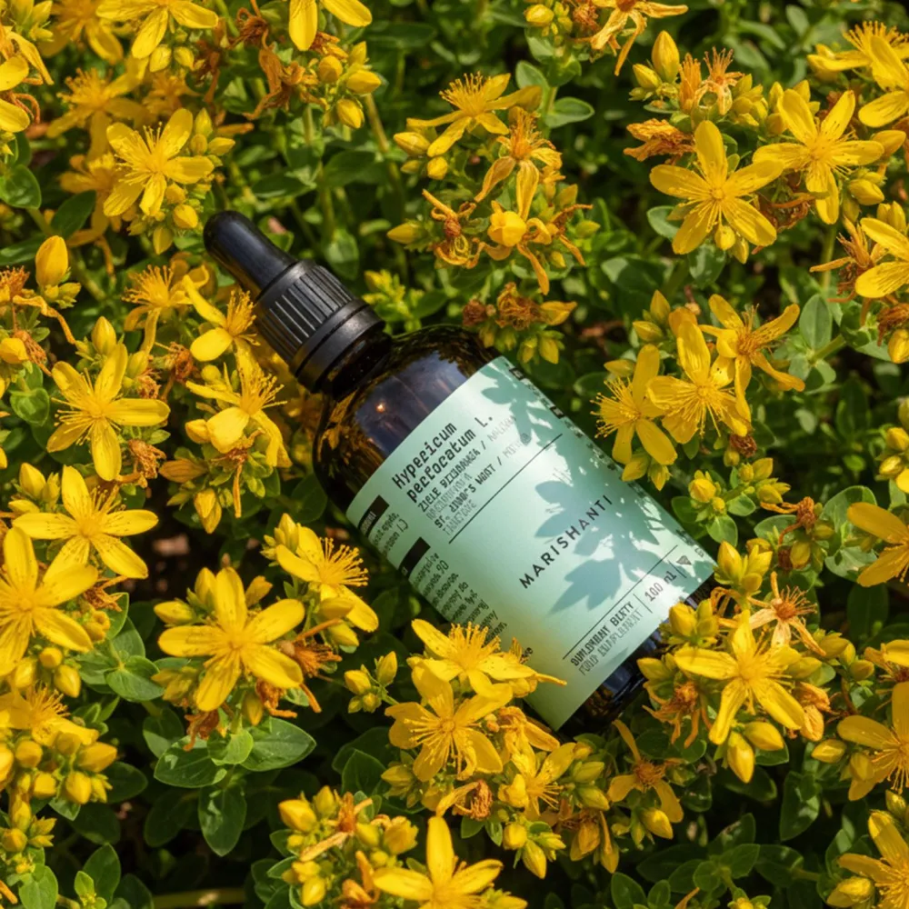 Marishanti Johanniskraut Extrakt – alkoholfrei> Best