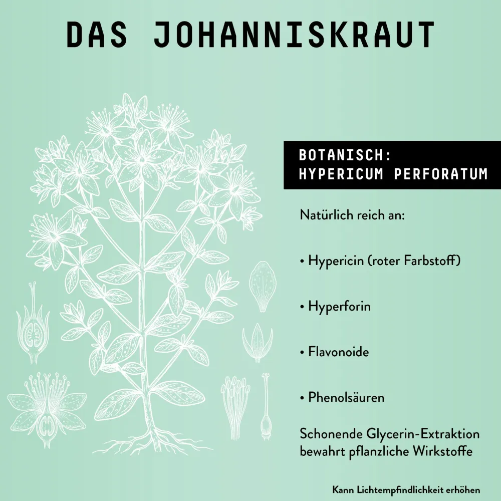 Marishanti Johanniskraut Extrakt – alkoholfrei> Best