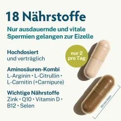 Fertilität | Fruchtbarkeit & Spermien | Folsäure, Q10 & Lycopin | Kinderwunsch Mann><noscript><img width=