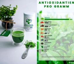 MatchaTherapy 130+ | BIO Matcha Grüntee aus Japan | Laborgeprüft: min. 130mg/g EGCG Antioxidantien| Clearance