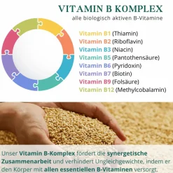 meinVitalium - reine Vitamin-B Komplex Kapseln| Outlet