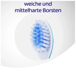 Zahnfleischschutz  Zahnbürste mit mittelharten Borsten|Meridol Online