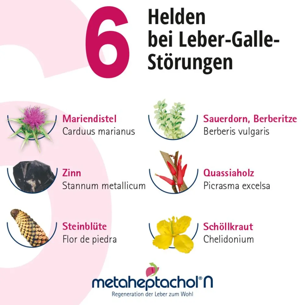metaheptachol®N Tropfen> Best