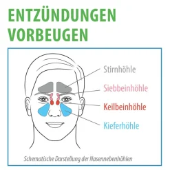 XYLIMED® natürliches Nasenspray|Miradent Best