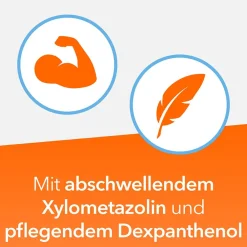 Nasenspray - bei Schnupfen|NasenDuo Discount