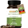 Nattokinase Hochdosiert 20.000FU/g | 240 Kapseln | 8 Monate Vorrat | Canitat M> New