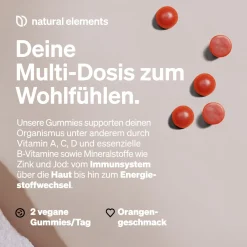Gummies Multivitamin – 120 Stück – mit 12 Vitaminen, Biotin, Folsäure, Zink & mehr><noscript><img width=