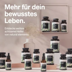 Salbei – 120 Kapseln – 6000mg pro Tagesdosis – Salbei Extrakt 10:1><noscript><img width=
