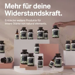 Vitamin C gepuffert 500mg – 365 Kapseln – magenschonend – pflanzliche Fermentation|natural elements Sale