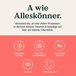 NATURE LOVE® Augenvitamin Komplex - 90 Kapseln mit Vitamin A - mit Lutein, Zeaxanthin und Vitamin E| Clearance