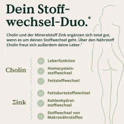 ® Leber Komplex - 120 Kapseln - Mariendistel, Cholin, Artischockenextrakt, Curcuma & Zink|NATURE LOVE Discount