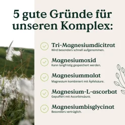 ® Magnesium Komplex - 180 Kapseln - 400mg elementares Magnesium/Tagesdosis><noscript><img width=