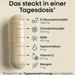Nature's Way Glucosamin Chondroitin MSM Kapseln| New