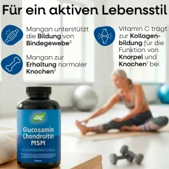 Nature's Way Glucosamin Chondroitin MSM Kapseln| New