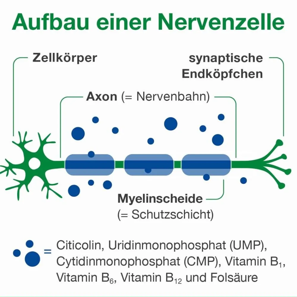 neuroLoges® concept>