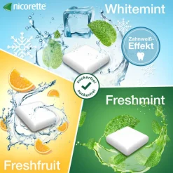 2 mg Nikotinkaugummi freshmint zum Rauchen aufhören|Nicorette