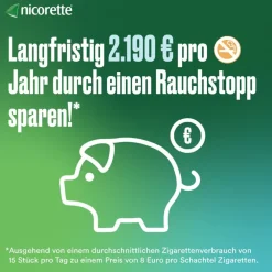2 mg Nikotinkaugummi freshmint zum Rauchen aufhören|Nicorette