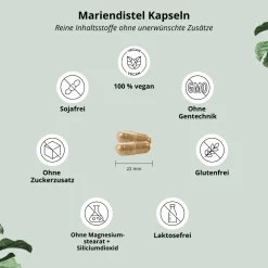 Mariendistel Kapseln mit Artischocke + Löwenzahn><noscript><img width=
