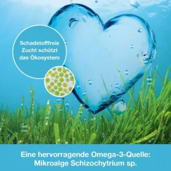 pflanzlich – Omega-3 Kapseln vegan|Omega3-Loges Online