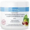 Original Wärmender Rosskastanien Kampfer Pferdebalsam|Dr. Berger Discount