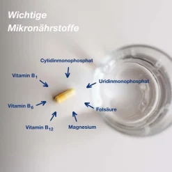 Orthomol Neuro – mit Thiamin, Vitamin B6, B12 und Magnesium als Beitrag zu einer normalen Funktion des Nervensystems – Kapseln - Jetzt 10% mit dem Code orthomol10 sparen*| New