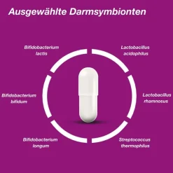 Pro 6 - mit einer Kombination ausgewählter Darmsymbionten und Vitamin C - Kapseln|Orthomol Outlet