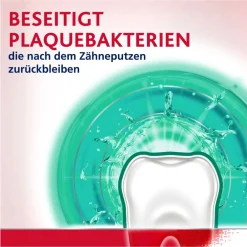 ® Tägliche Zahnfleischpflege Frische Minze|Parodontax Online