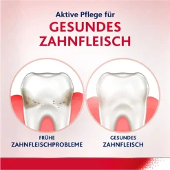 ® Tägliche Zahnfleischpflege Frische Minze|Parodontax Online