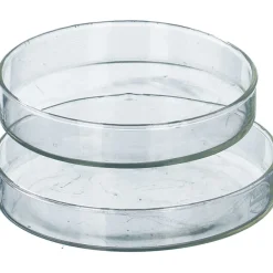 Petrischale 10 cm| Outlet