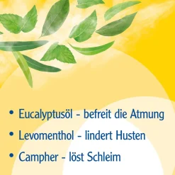 ® Erkältungsbad ab 12 Jahren - mit Eucalyptusöl, Menthol und Campher>Pinimenthol Discount